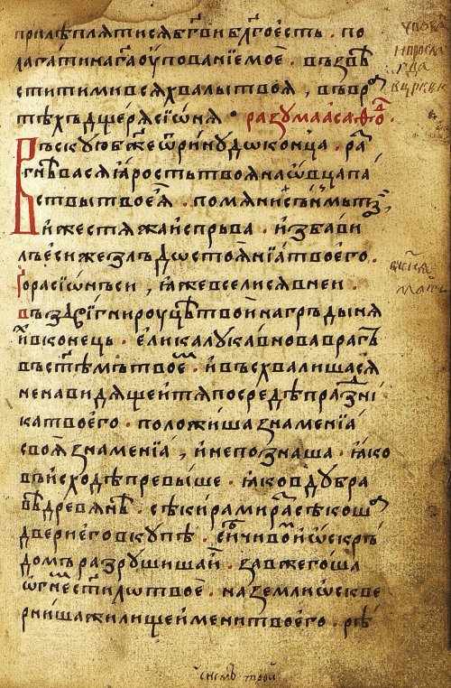 Страница 217