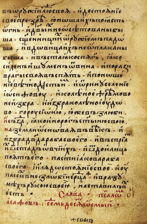 Страница 229