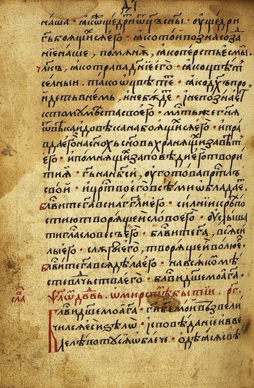 Страница 264