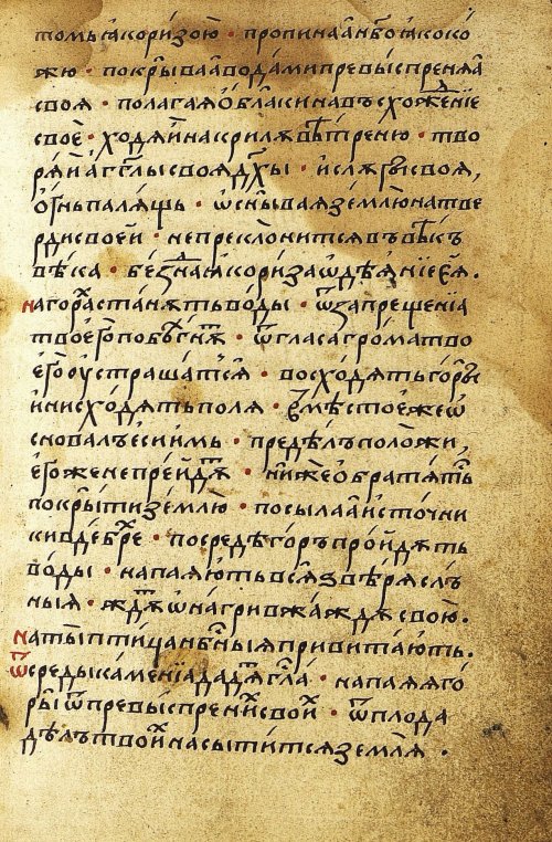 Страница 265