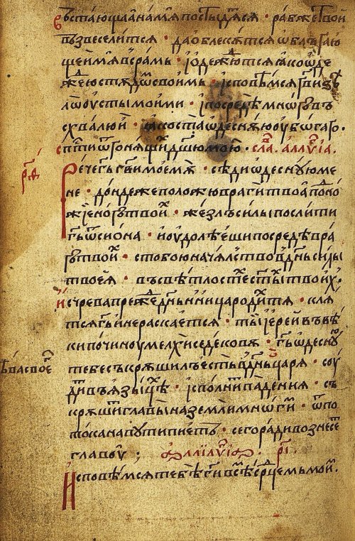 Страница 282
