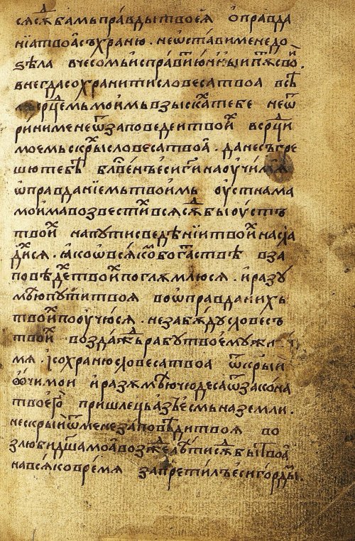Страница 291