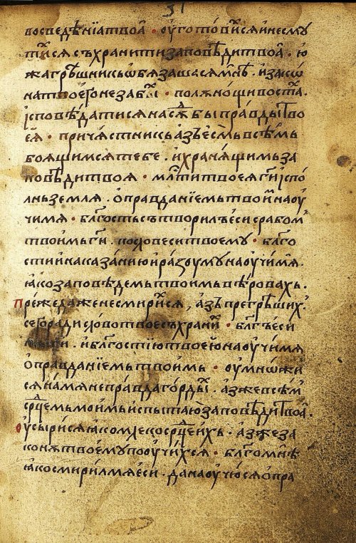 Страница 295