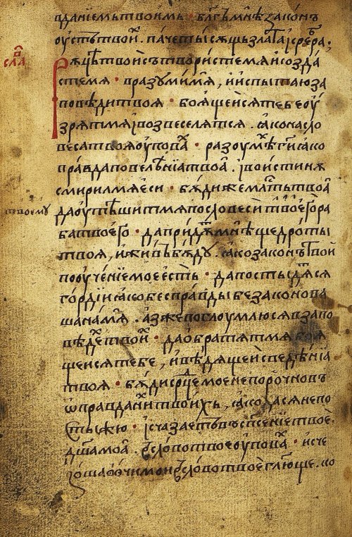Страница 296