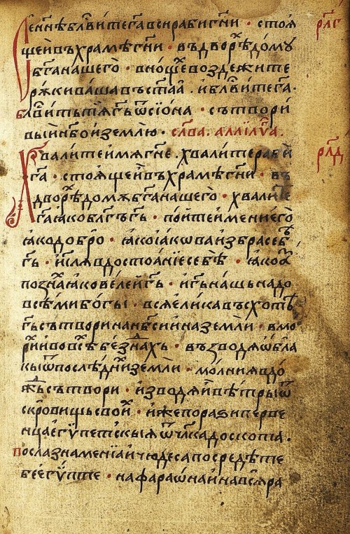 Страница 313