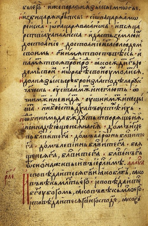 Страница 314