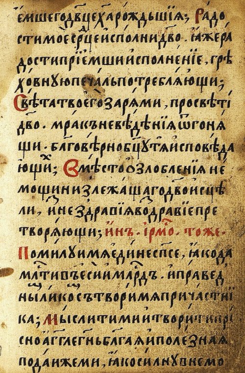 Страница 491