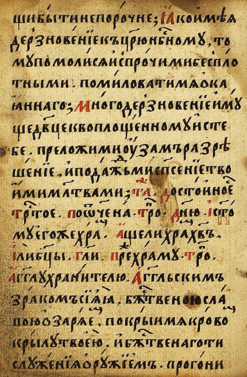 Страница 492