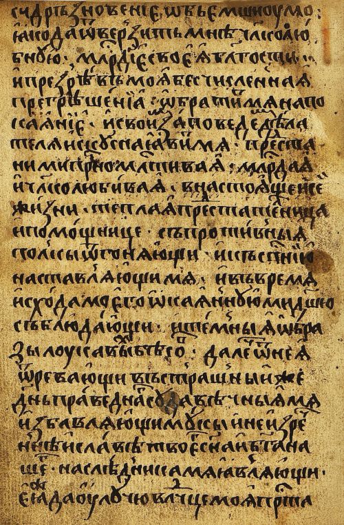 Страница 496