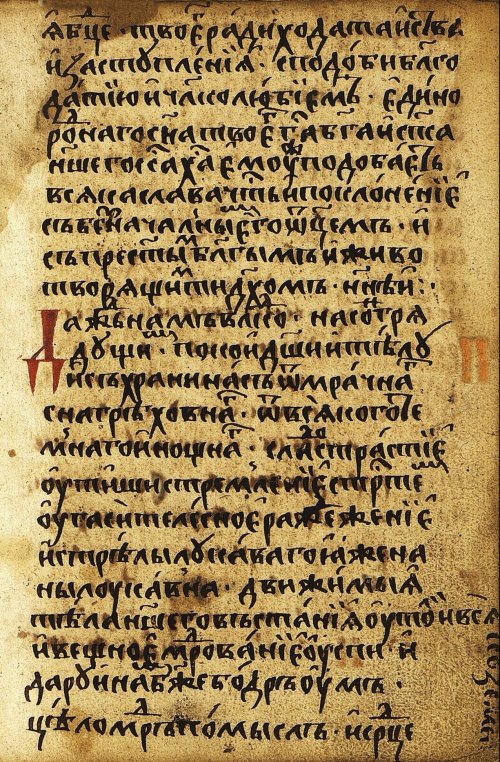 Страница 497
