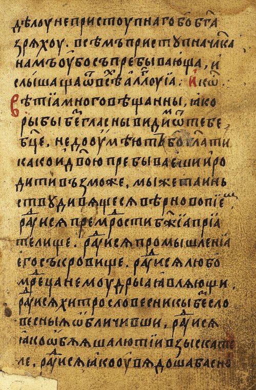 Страница 559