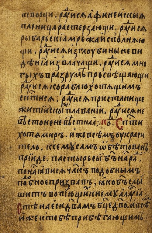 Страница 560