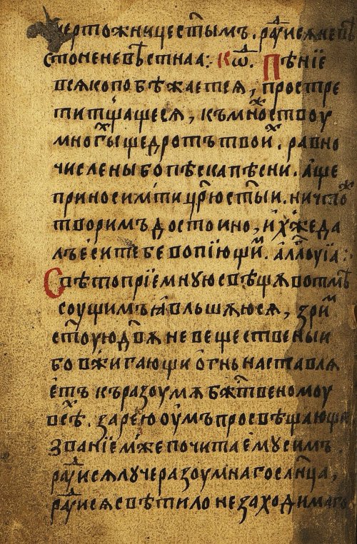 Страница 562