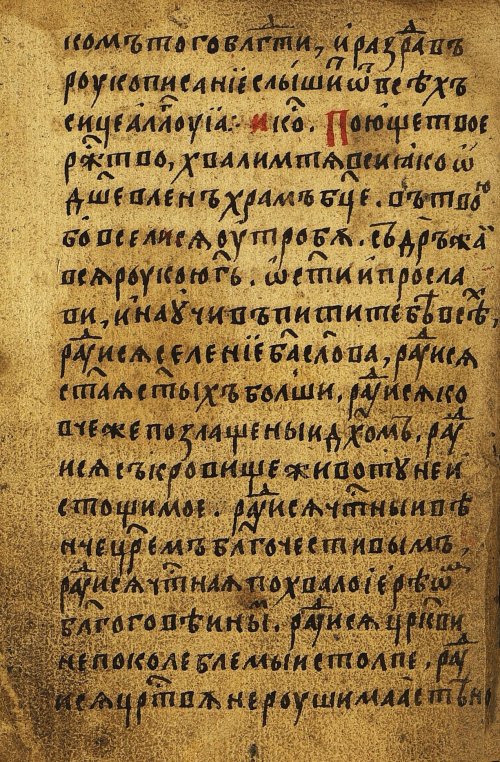 Страница 564
