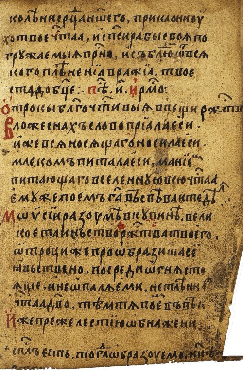 Страница 567
