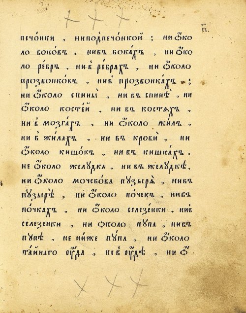 Страница 29