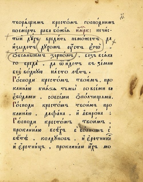 Страница 31