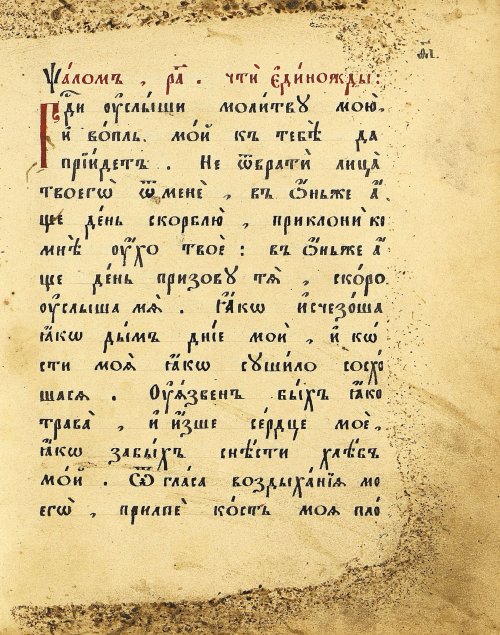 Страница 41