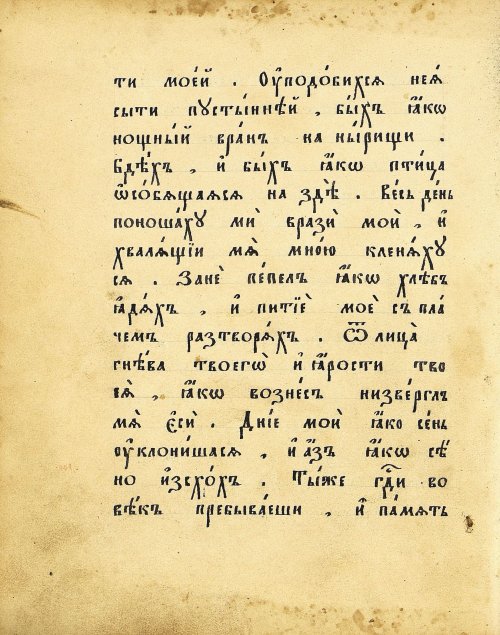 Страница 42