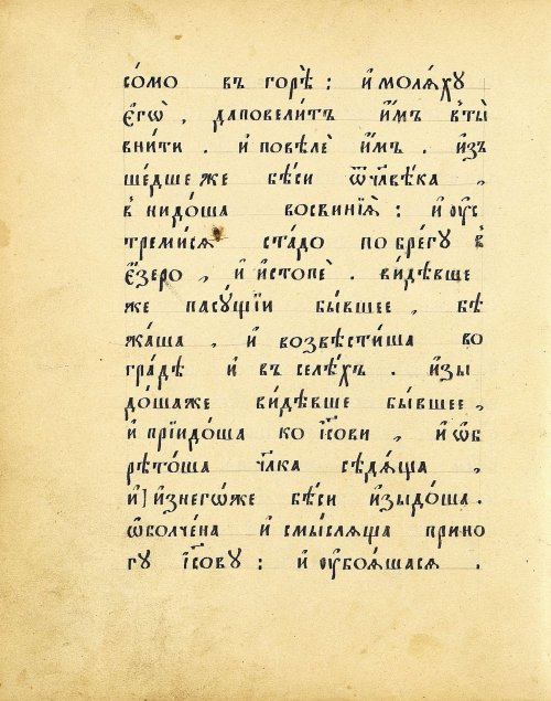 Страница 120