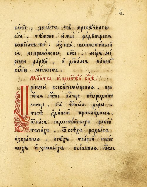 Страница 193