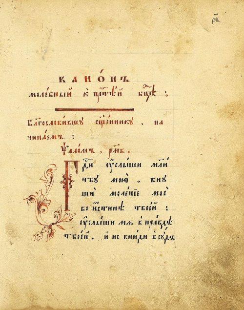 Страница 207