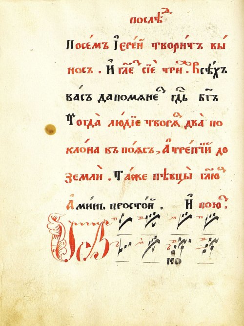 Страница 36