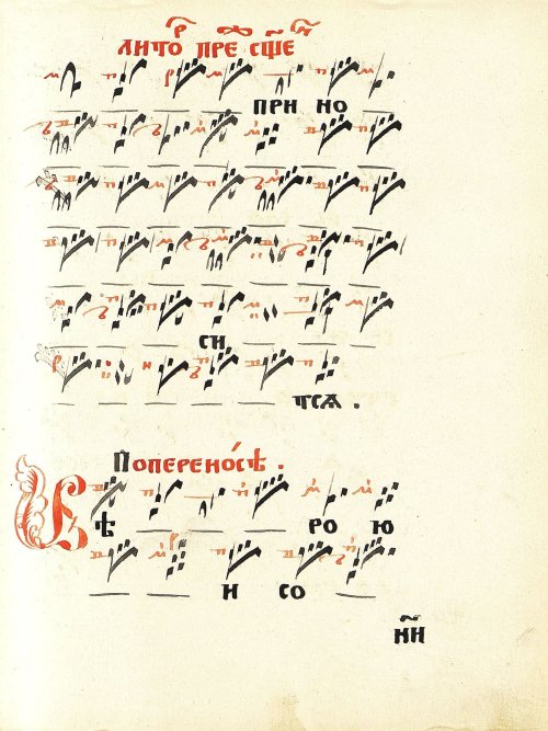 Страница 117