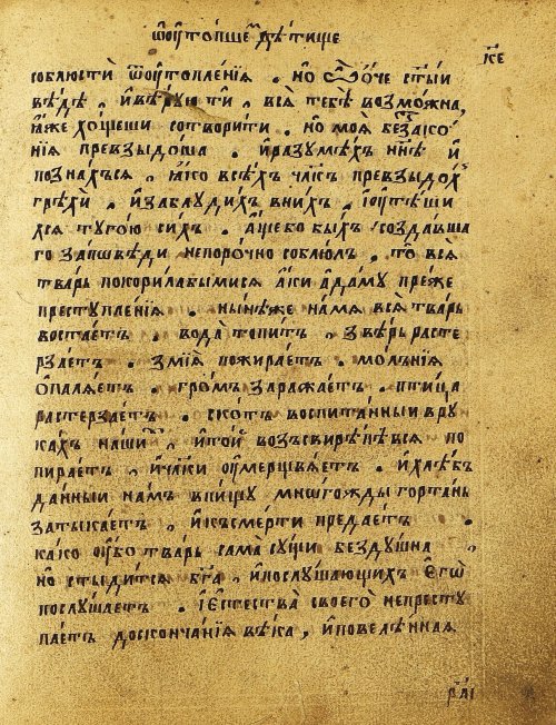 Страница 228