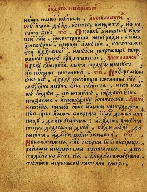 Страница 335