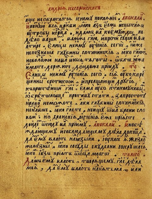Страница 341