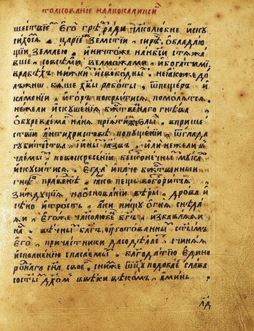 Страница 384