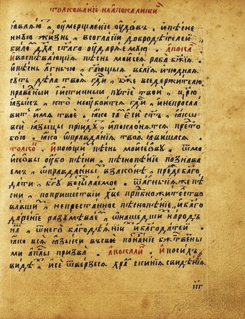 Страница 482
