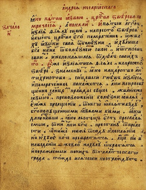Страница 493