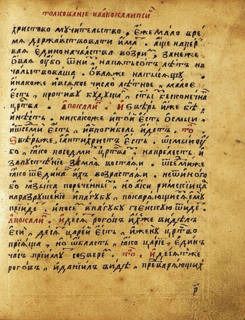 Страница 516