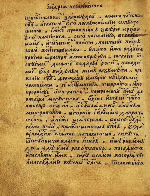 Страница 519