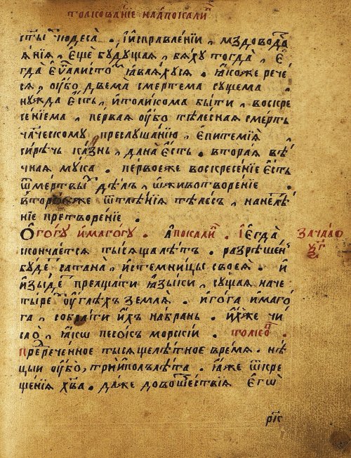 Страница 556