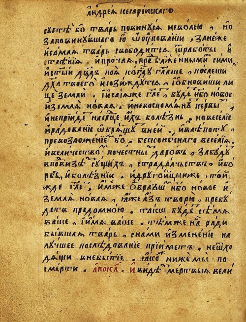 Страница 565