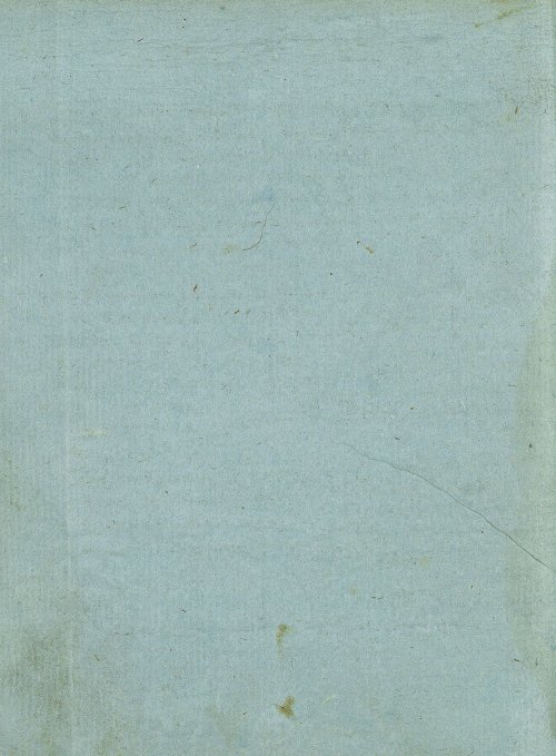Страница 304