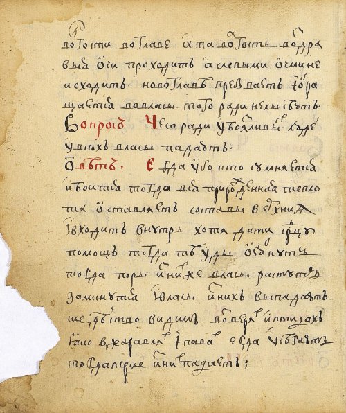Страница 28