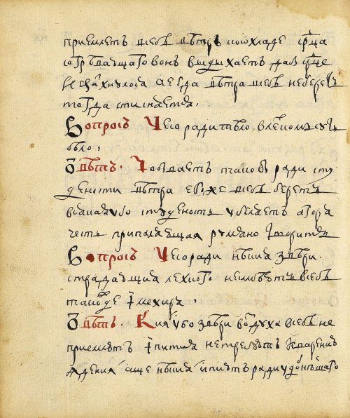 Страница 116