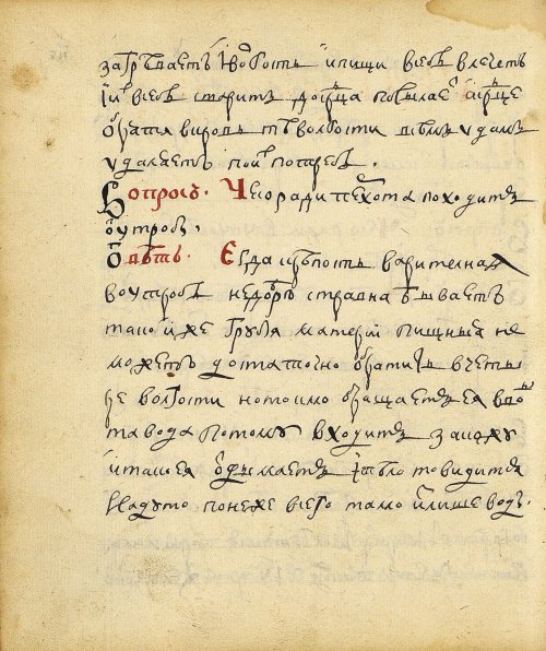 Страница 118