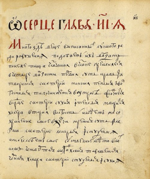 Страница 119