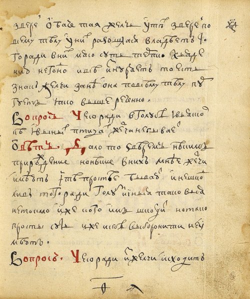 Страница 137
