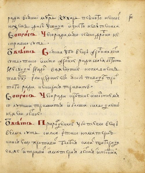 Страница 219