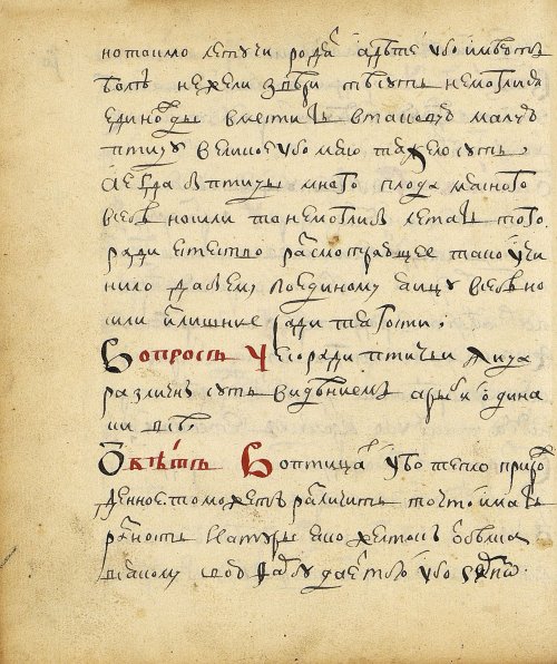 Страница 232