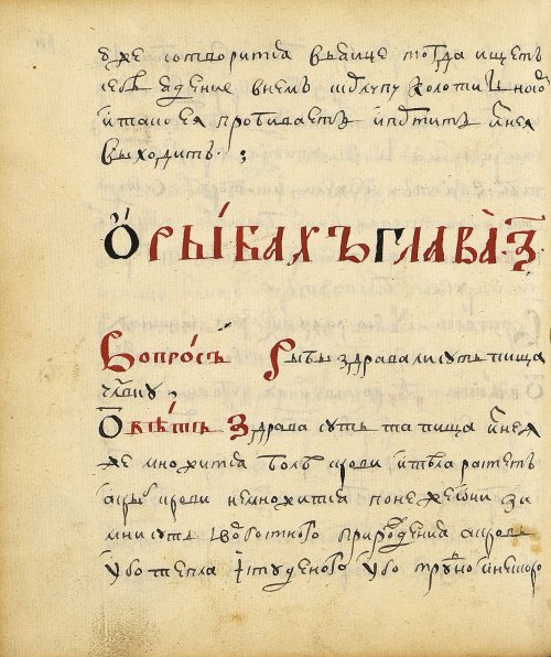 Страница 236