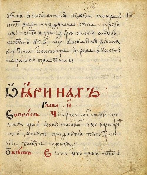 Страница 243