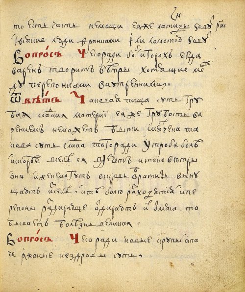 Страница 245