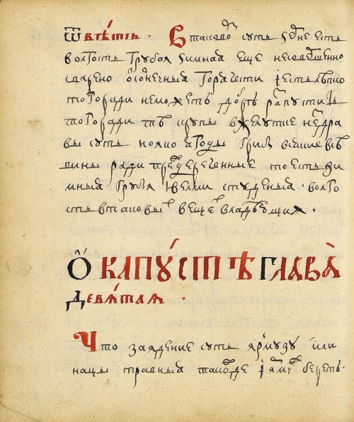 Страница 246
